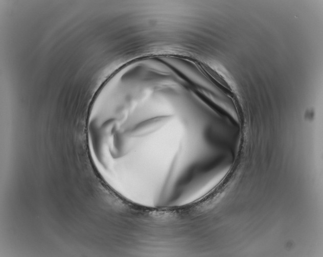 X0000090701089200708171841