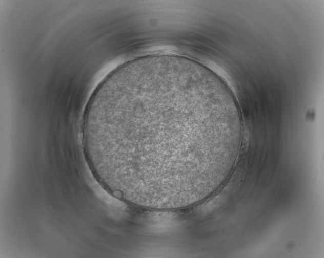 X0000090701090200708171841