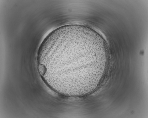 X0000090701091200708171841