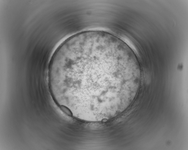 X0000090701092200708171841