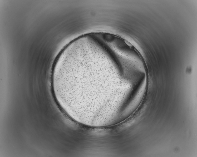 X0000090701093200708171841