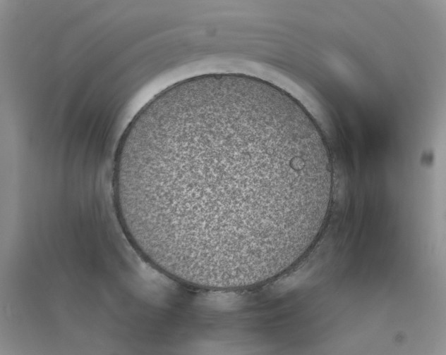 X0000090701094200708171841