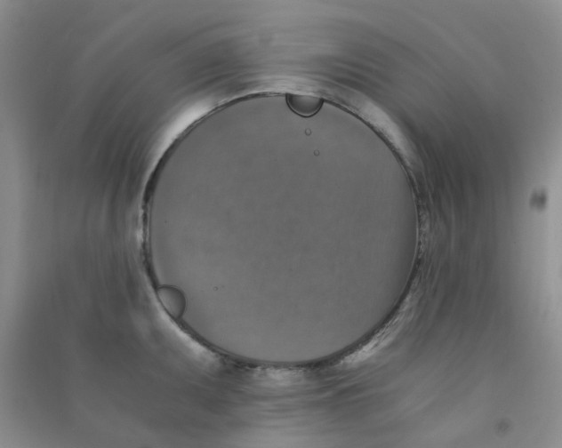 X0000090701095200708171841