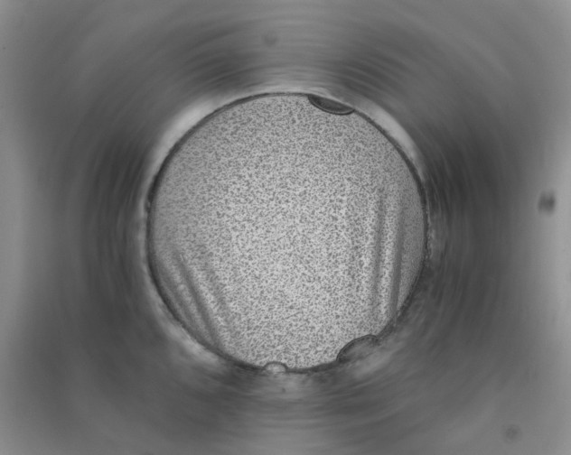 X0000090701096200708171841