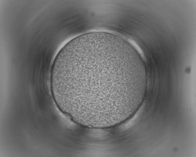 X0000090701100200708171841