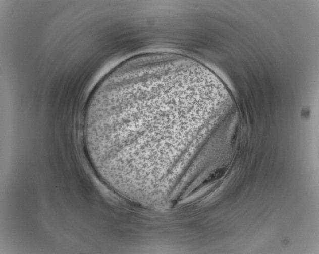 X0000090701101200708171841