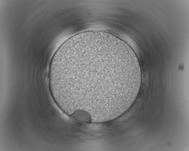 X0000090701103200708171841