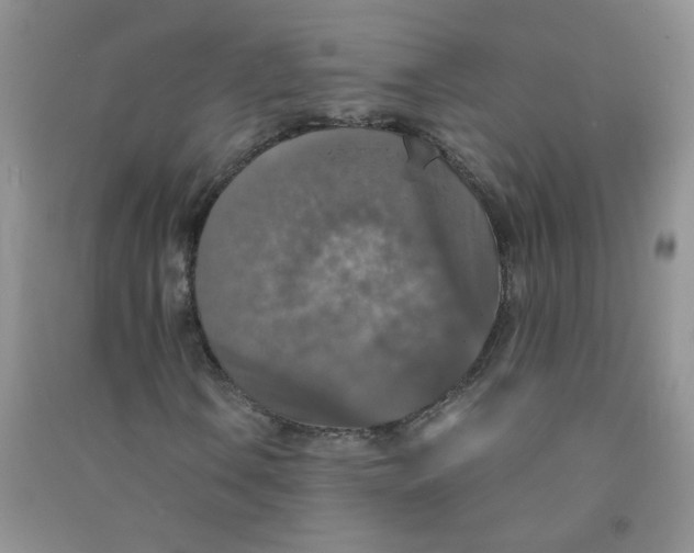 X0000090701106200708171840