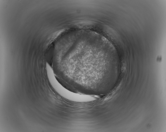 X0000090701108200708171840