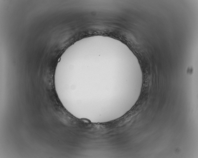 X0000090701109200708171840