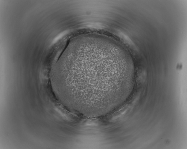 X0000090701110200708171840