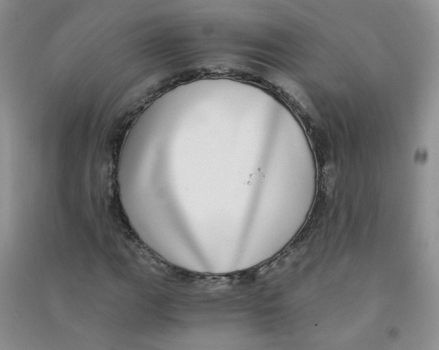 X0000090701111200708171840