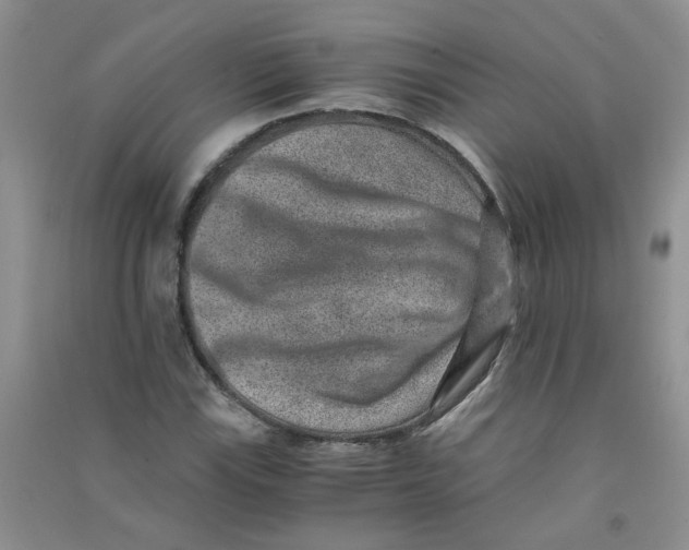 X0000090701115200708171840