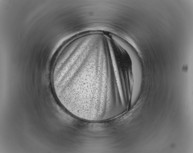 X0000090701116200708171840