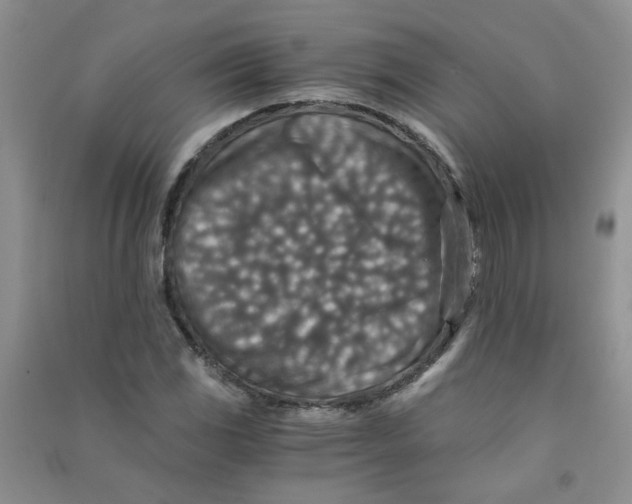 X0000090701117200708171840