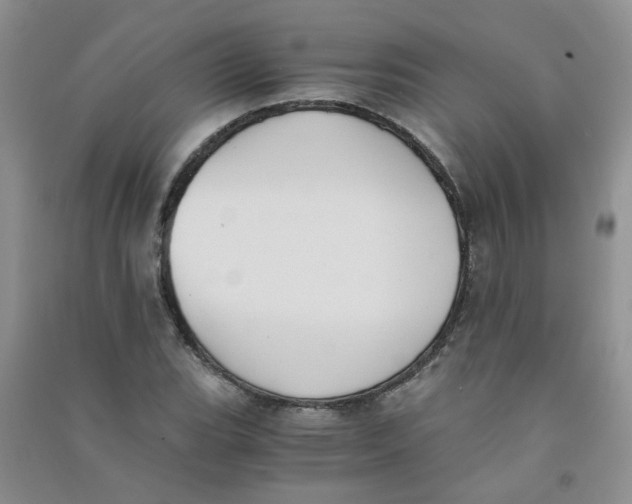 X0000090701119200708171840