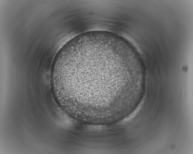 X0000090701121200708171841