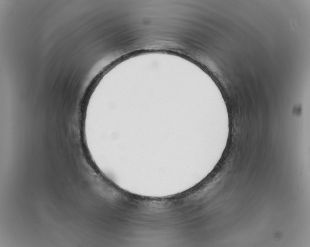 X0000090701122200708171841