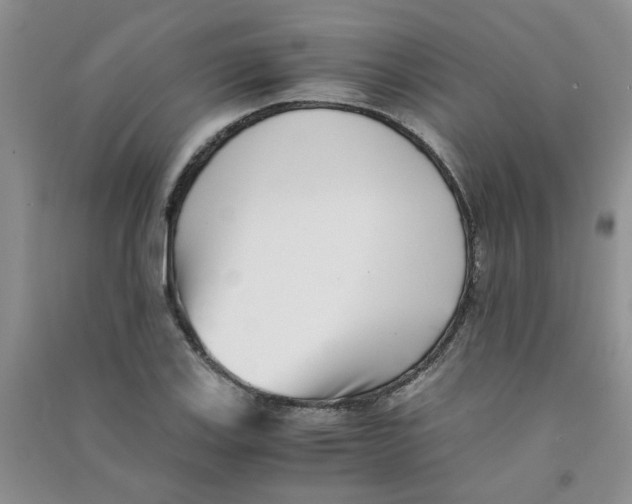 X0000090701123200708171841