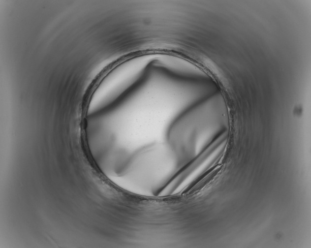 X0000090701124200708171841