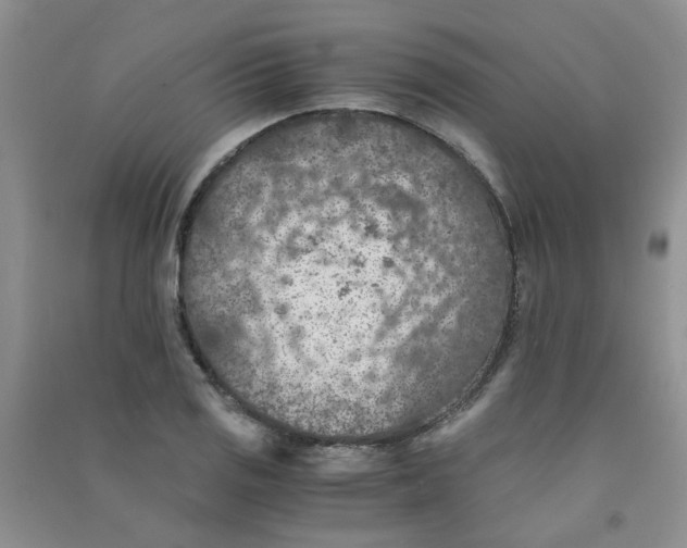 X0000090701125200708171841