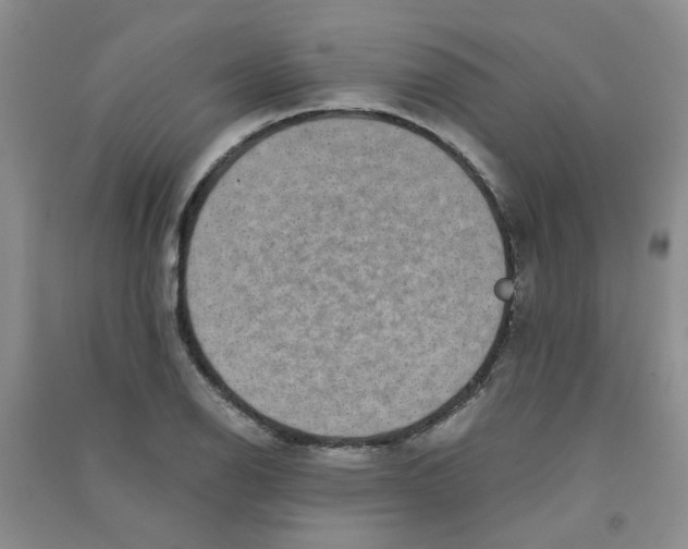 X0000090701126200708171841