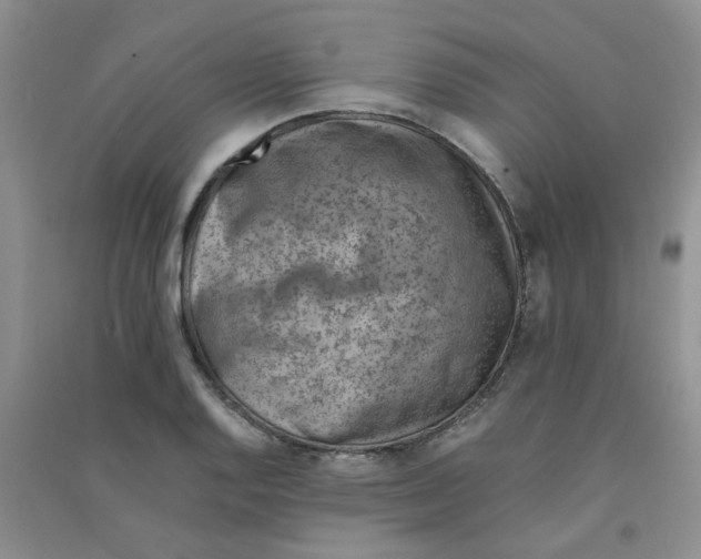 X0000090701128200708171841