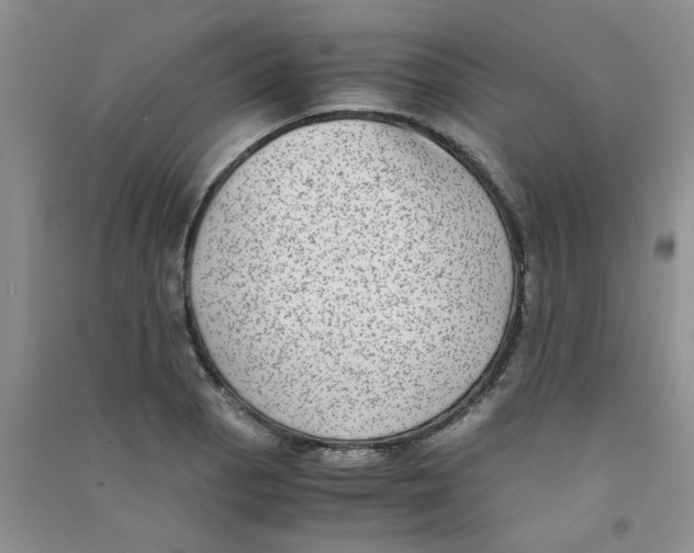 X0000090701129200708171841