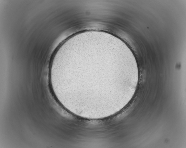 X0000090701130200708171841