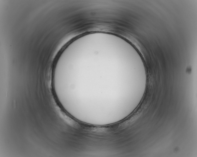 X0000090701131200708171841