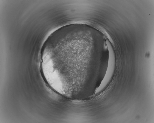 X0000090701132200708171841