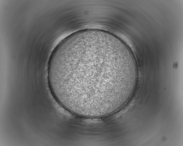 X0000090701133200708171841