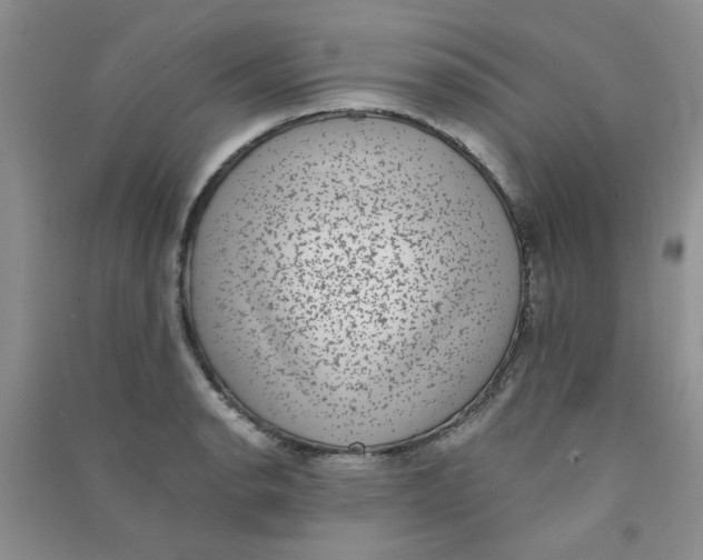 X0000090701134200708171841