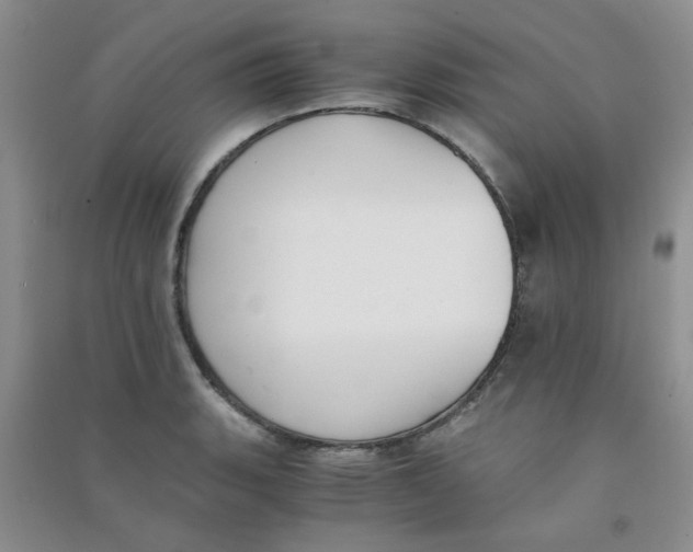 X0000090701135200708171841