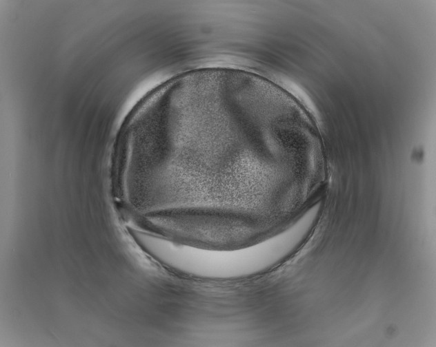 X0000090701138200708171841