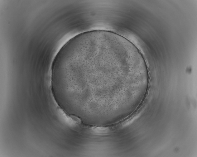 X0000090701140200708171841