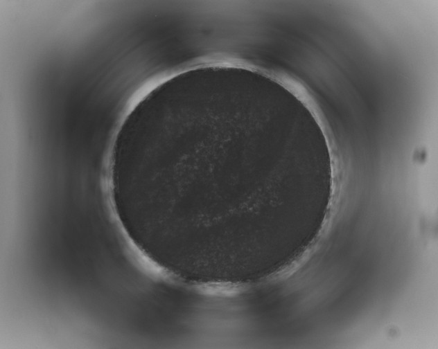 X0000090701141200708171841