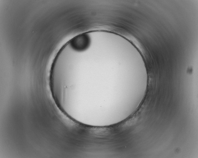 X0000090701143200708171841