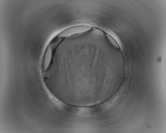 X0000090701144200708171841