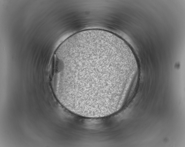 X0000090701145200708171841