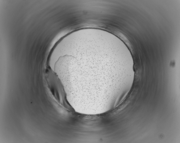 X0000090701146200708171841