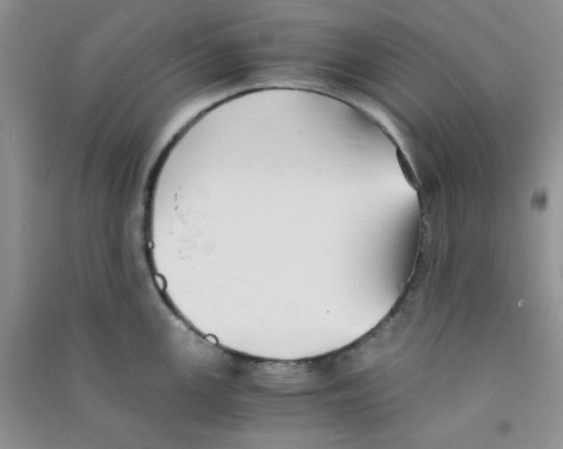 X0000090701147200708171841