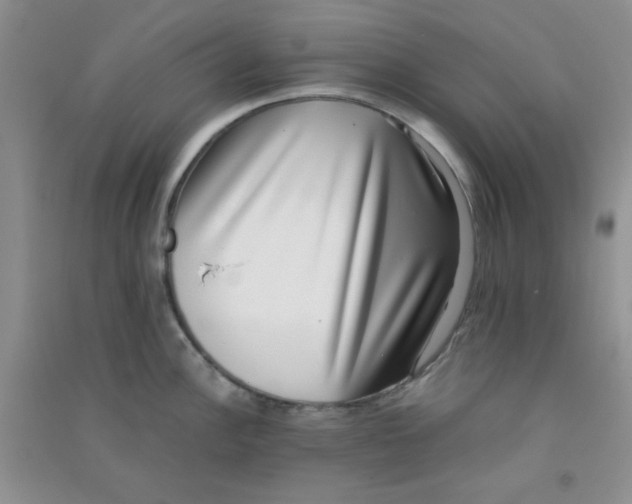 X0000090701148200708171841