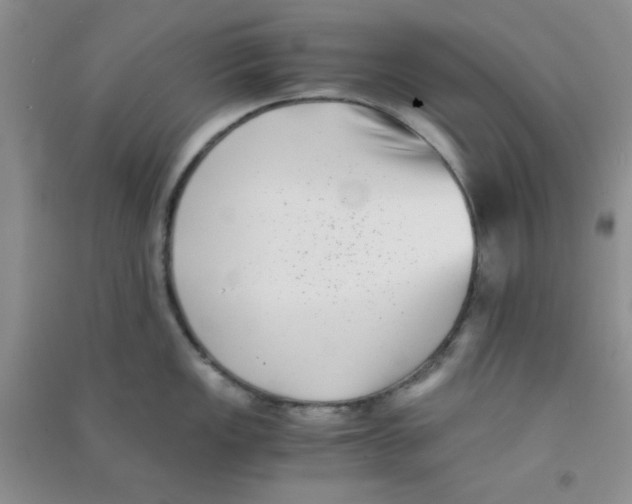 X0000090701149200708171841