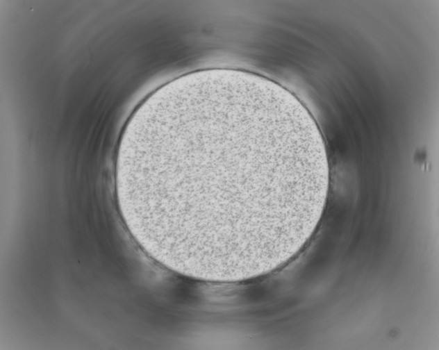 X0000090701150200708171841