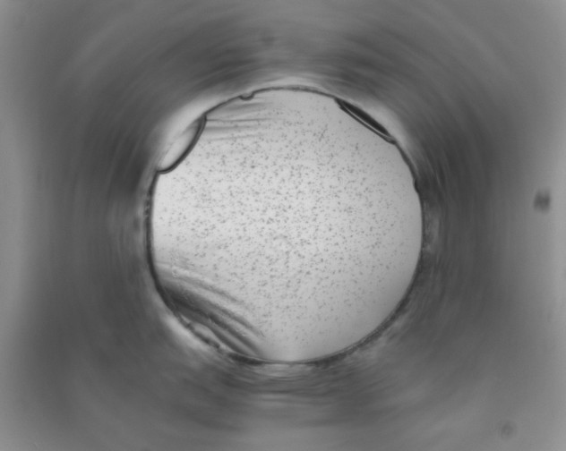 X0000090701151200708171841