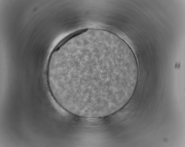 X0000090701152200708171841