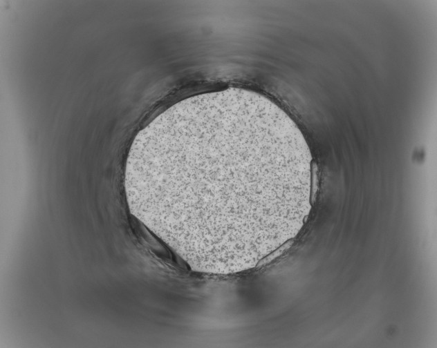 X0000090701153200708171840