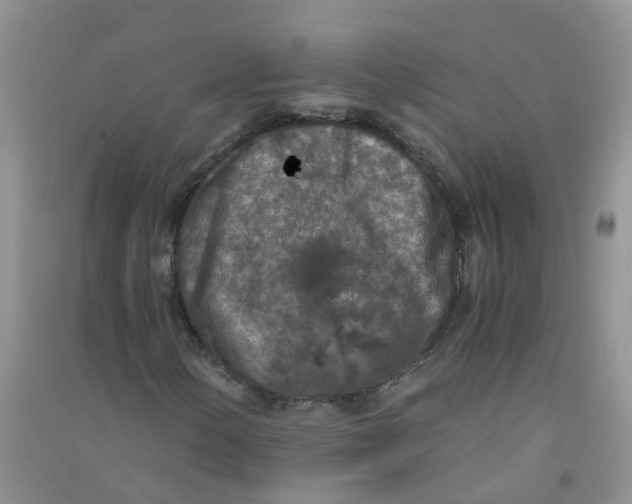 X0000090701154200708171840