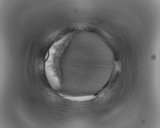 X0000090701155200708171840